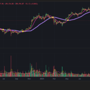 비트코인 8만 9천 달러 위기, 조정의 끝인가 대폭락의 서막인가? (긴급 진단) 리스크 관리 및 심리 27
