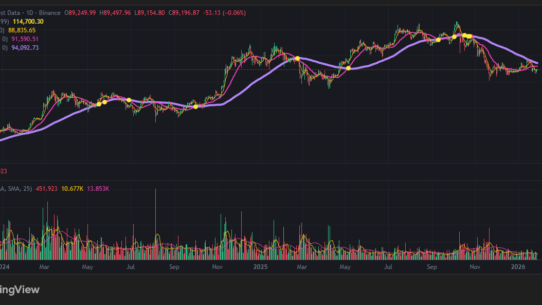 비트코인 8만 9천 달러 위기, 조정의 끝인가 대폭락의 서막인가? (긴급 진단) 시장 분석 및 전략 13
