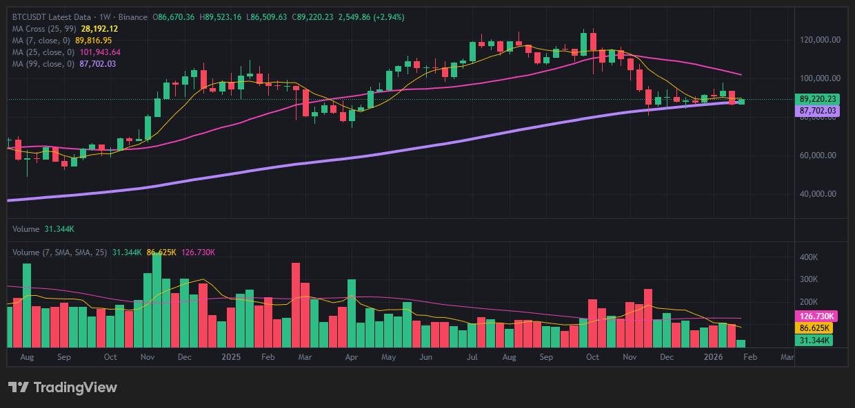 비트코인 8만 9천 달러 위기, 조정의 끝인가 대폭락의 서막인가? (긴급 진단) 리스크 관리 및 심리 11 주봉 차트의 비밀