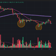 주식 코인 차트에서 가짜 쌍바닥 함정 피하고 수익 내는 실전 거래량 분석 노하우 리스크 관리 및 심리 29
