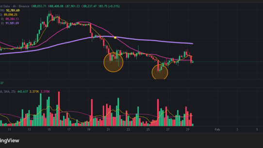 주식 코인 차트에서 가짜 쌍바닥 함정 피하고 수익 내는 실전 거래량 분석 노하우 트레이딩 툴 및 인프라 9