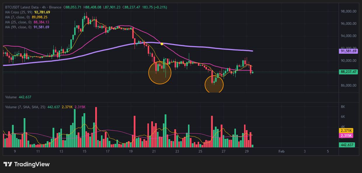 쌍바닥(Double Bottom)