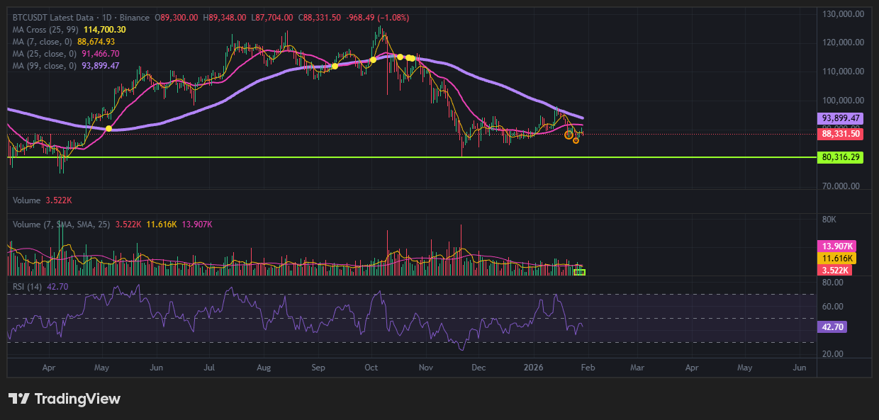 쌍바닥 패턴 + 거래량 조건 충족 + RSI 상승 다이버전스