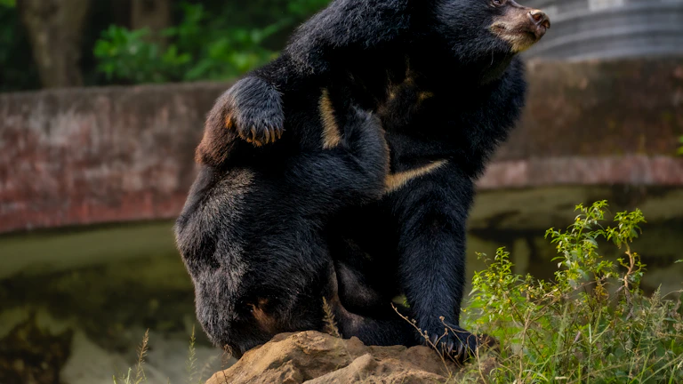 RSI 다이버전스 실전 매매, 보조지표 하나로 추세 반곡점을 정확히 잡아내는 숨겨진 기회 포착 전략 시장 분석 및 전략 10 하락 다이버전스 예시 차트