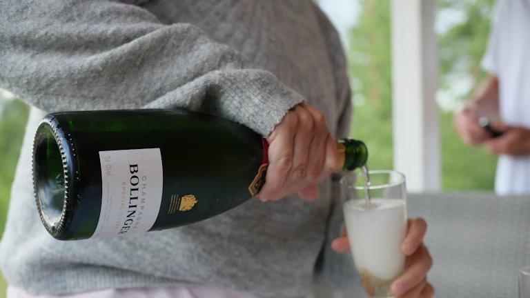 bands-squeeze-chart-example - 볼린저 밴드 스퀴즈가 나타난 차트 예시