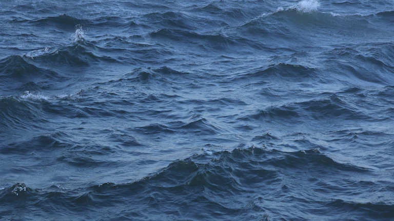 잔잔한 바다와 거친 바다의 비교 (변동성 비유)