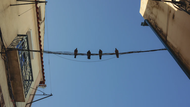 물타기, 손실 포지션 관리와 분할 매수의 결정적 차이점 분석 리스크 관리 및 심리 11 상승하는 그래프 화살표