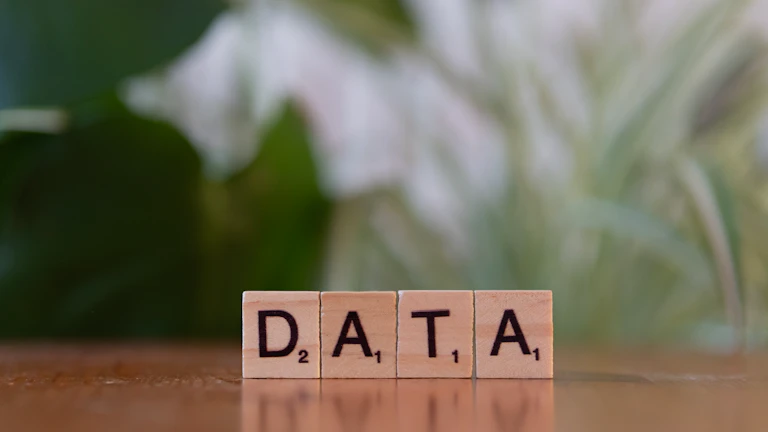 2026년 라이브 실패를 막는 견고한 자동매매 전략 검증법 리스크 관리 및 심리 7