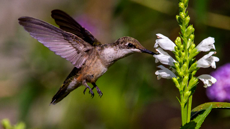 전략을 구상하며 집중하고 있는 트레이더