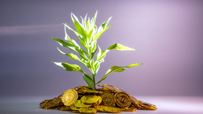 상승 곡선을 그리는 그래프와 동전들