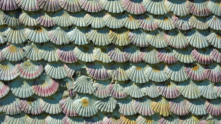 하모닉 패턴 가오리, 기하학적 정밀도로 고승률 반전 지점 포착하는 궁극의 전략 시장 분석 및 전략 7