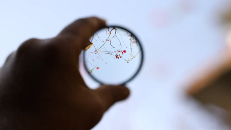 주식 데이터 위에 놓인 돋보기