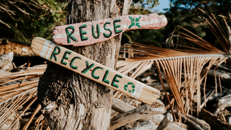 돈을 아끼는 모습