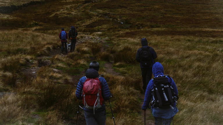 함께 등산하며 사회적 교류를 하는 사람들
