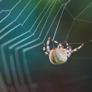 포모(FOMO) 증후군, 급등주 추격 매수 대신 기다림을 즐기는 마인드셋 시장 분석 및 전략 12