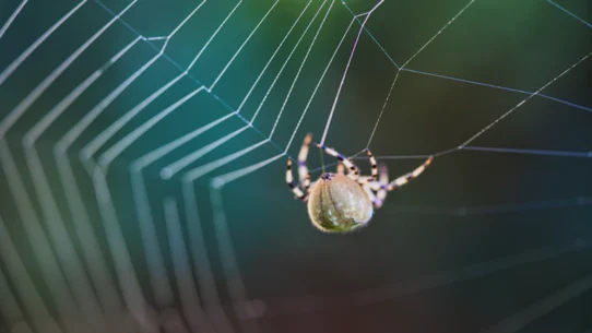 포모(FOMO) 증후군, 급등주 추격 매수 대신 기다림을 즐기는 마인드셋 시장 분석 및 전략 31