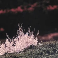 멘탈 관리 실패, 3년 수익 하루 만에 날린 뼈아픈 경험과 재기 위한 루틴 시장 분석 및 전략 11