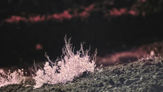 멘탈 관리 실패, 3년 수익 하루 만에 날린 뼈아픈 경험과 재기 위한 루틴 시장 분석 및 전략 26