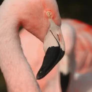 손절매(Stop Loss) 설정, 손실을 줄이고 수익을 극대화하는 최적의 구간 찾는 법 총정리 시장 분석 및 전략 11