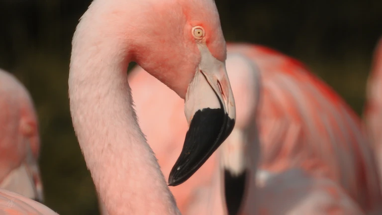 손절매(Stop Loss) 설정, 손실을 줄이고 수익을 극대화하는 최적의 구간 찾는 법 총정리 시장 분석 및 전략 7