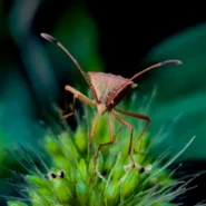 오버나이트 리스크 관리 주말 갭락/갭상 대비 헷징 전략 완벽 가이드 시장 분석 및 전략 14