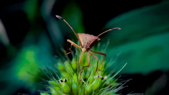 오버나이트 리스크 관리 주말 갭락/갭상 대비 헷징 전략 완벽 가이드 시장 분석 및 전략 30