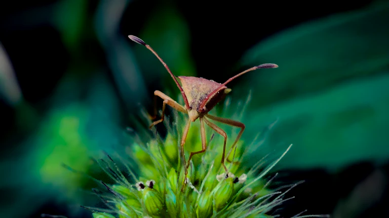 오버나이트 리스크 관리 주말 갭락/갭상 대비 헷징 전략 완벽 가이드 시장 분석 및 전략 7