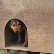 도박사의 오류와 트레이딩, 연속된 손실 후 확률을 오판하지 않는 통계적 사고 시장 분석 및 전략 12