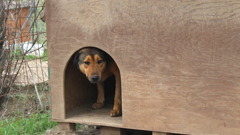 도박사의 오류와 트레이딩, 연속된 손실 후 확률을 오판하지 않는 통계적 사고 시장 분석 및 전략 7