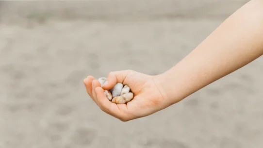 초심자의 행운, 첫 수익이 실력이 아님을 깨닫고 겸손해져야 하는 시기 브로커 및 플랫폼 분석 21