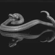 파이썬 자동매매 시스템 구축, 초보자를 위한 단계별 고수익 전략 (2026년 최신) 퀀트 및 자동매매 11