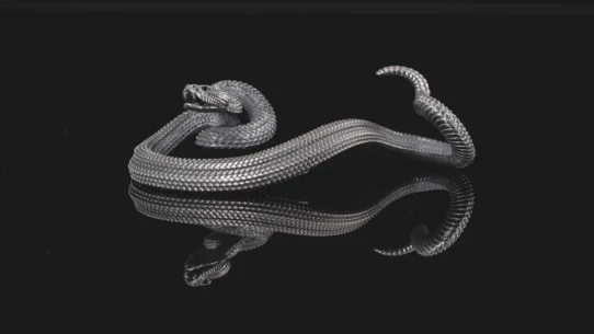 파이썬 자동매매 시스템 구축, 초보자를 위한 단계별 고수익 전략 (2026년 최신) 브로커 및 플랫폼 분석 25