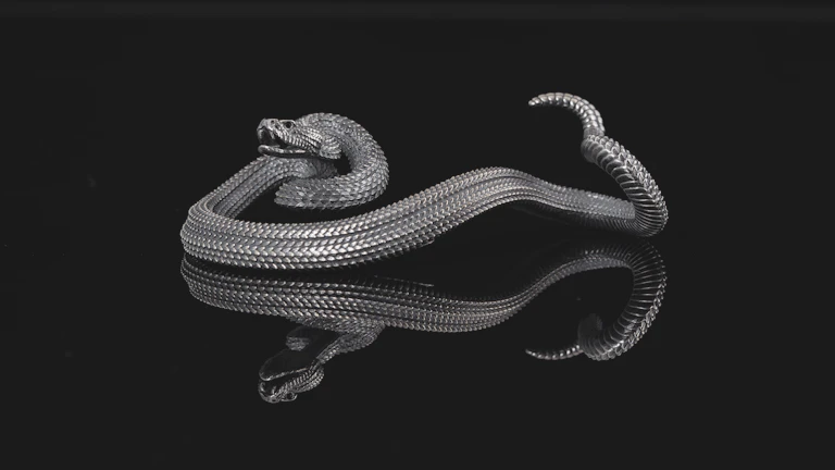 파이썬 자동매매 시스템 구축, 초보자를 위한 단계별 고수익 전략 (2026년 최신) 브로커 및 플랫폼 분석 9 파이썬 자동매매 시스템을 코딩하는 개발자