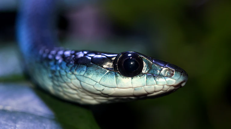 파이썬 코드로 퀀트 전략을 구현하는 화면