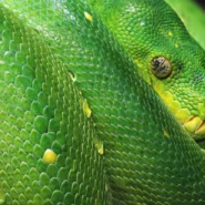 2026년 백테스팅 검증으로 수익 극대화 시장 분석 및 전략 11