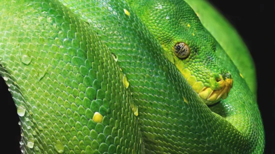 2026년 백테스팅 검증으로 수익 극대화 시장 분석 및 전략 26