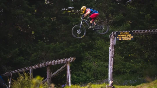 트레이딩 자금 관리, 하락장에서도 자산을 지키는 1%의 비결, 2026년 필수 리스크 관리 및 심리 회복 가이드 시장 분석 및 전략 17