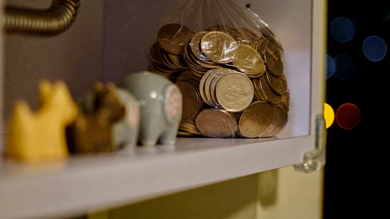 저축 단지에 쌓인 동전과 자라나는 식물