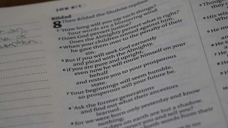 금융 서적을 공부하는 학생