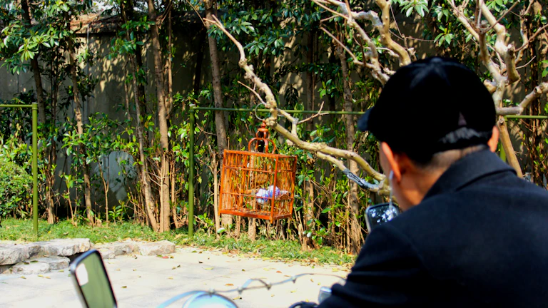 노트북으로 해외선물 차트를 분석하는 트레이더의 모습