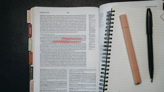 트레이딩 일지 템플릿 공유 진입 근거와 감정 상태까지 기록해야 실력이 는다 시장 분석 및 전략 25