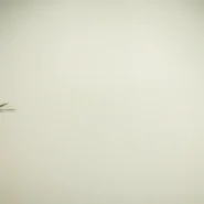 2026년 실시간 매매 신호 포착 자동 알림 완벽 가이드 브로커 및 플랫폼 분석 11