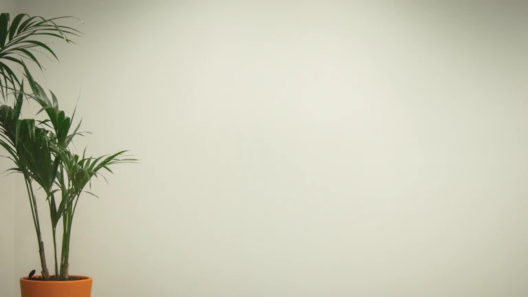 2026년 실시간 매매 신호 포착 자동 알림 완벽 가이드 브로커 및 플랫폼 분석 7