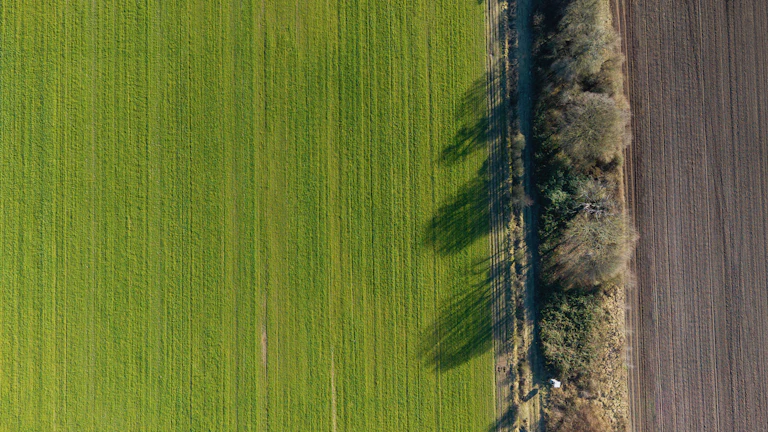 자동 헷징 전략 흐름도