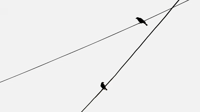 백테스팅 결과를 보여주는 그래프