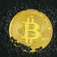 비트코인 세력 움직임 포착하는 2026년 신호 퀀트 및 자동매매 13