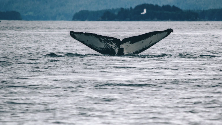 2026년 대세 상승장 포착 노하우 트레이딩 툴 및 인프라 7