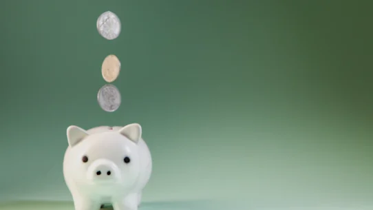 2026년 보상함수 설계 오류에 따른 계좌 파산 방지법 시장 분석 및 전략 23