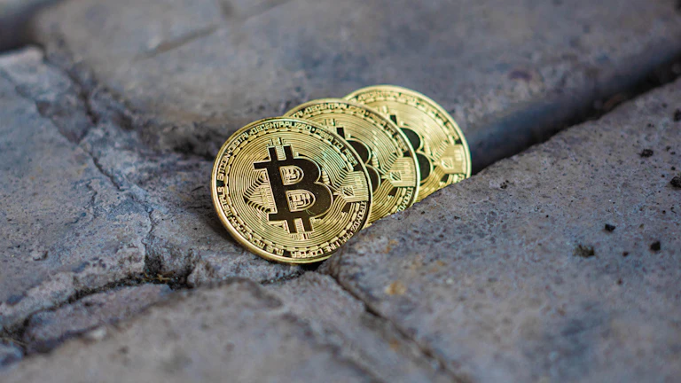 재무 위험 관리 차트와 지표