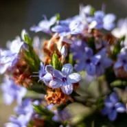 2026년 프롭펌 계좌 정지 막는 비법 시장 분석 및 전략 13